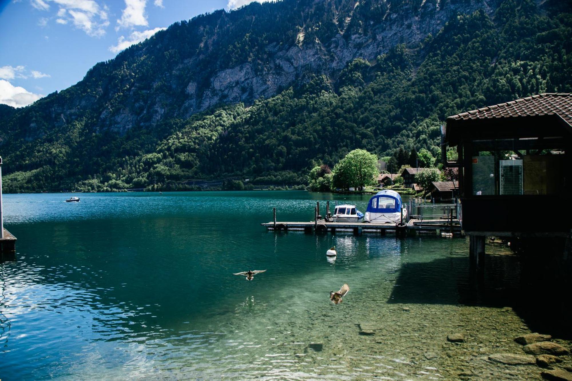 Au Bord Du Lac Därligen エクステリア 写真